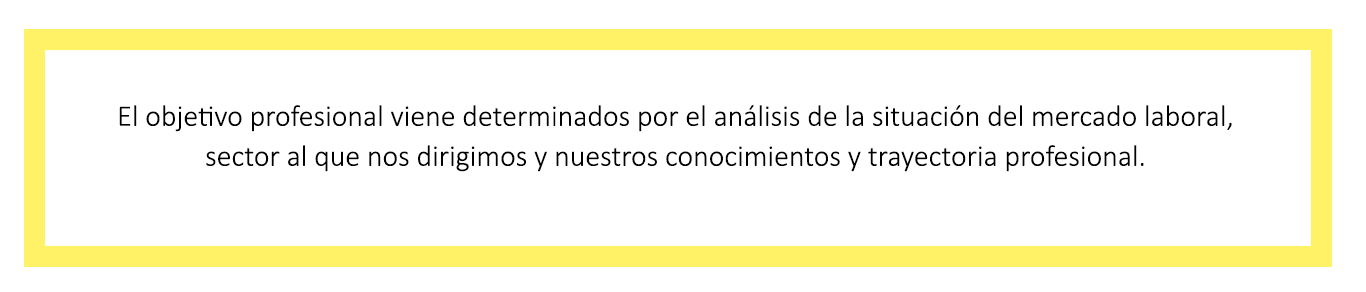 el objetivo profesional en la búsqueda de empleo